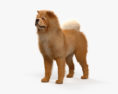 Chow-chow Modelo 3d