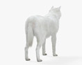 北極狼 3D模型