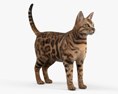 Bengal Cat HD 3d model