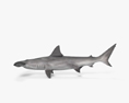 Smooth Hammerhead Shark HD 3d model