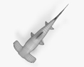 Smooth Hammerhead Shark HD 3d model