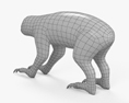 Two-Toed Sloth 3d model