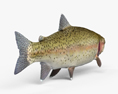 Trout 3d model