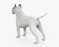 Bull Terrier HD 3d model