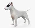 Bullterrier 3D-Modell