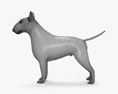 Bullterrier 3D-Modell