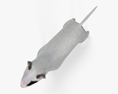 Bullterrier 3D-Modell