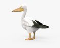 American White Pelican 3d model