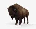 Bisonte americano Modello 3D