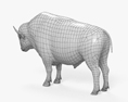 美洲野牛 3D模型