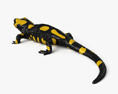 Salamander HD 3d model