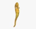 Seahorse 3d model