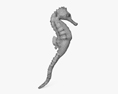 Seahorse 3d model