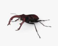 Stag Beetle HD 3d model