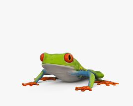 Red-eyed tree frog HD 3D model