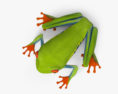 Red-eyed tree frog HD 3d model