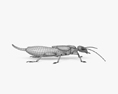 Tijereta Modelo 3D