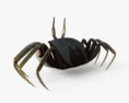 Horned Ghost Crab 3d model