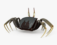 Horned Ghost Crab 3d model