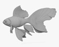 Fantail Goldfish 3d model