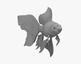 Fantail Goldfish 3d model