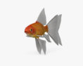 Fantail Goldfish HD 3d model