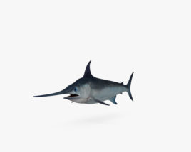 剑旗鱼 3D模型