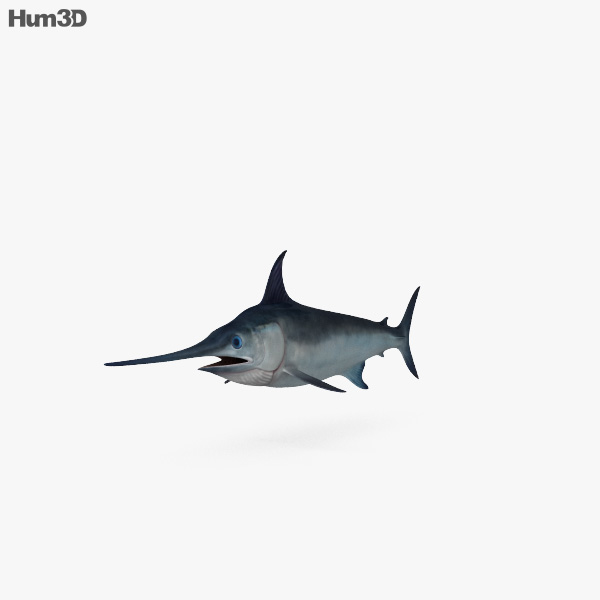 剑旗鱼 3D模型