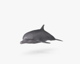 Common Bottlenose Dolphin HD 3D model