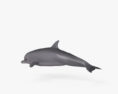 Delfino tursiope Modello 3D
