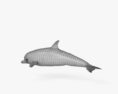 Common Bottlenose Dolphin HD 3d model
