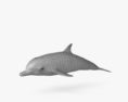 Delfino tursiope Modello 3D