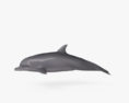 Delfino tursiope Modello 3D