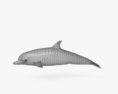 Delfino tursiope Modello 3D
