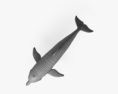 Delfín mular Modelo 3D