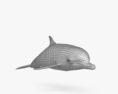 宽吻海豚 3D模型