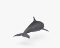 Пляшконосий дельфін 3D модель
