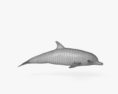 Delfino tursiope Modello 3D