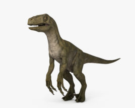 Velociraptor 3D model
