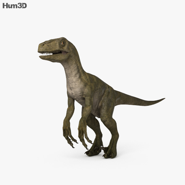 Velociraptor HD 3D model