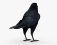 Raven HD 3d model
