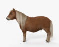 Shetland Pony 3d model