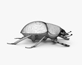 Scarab beetle HD 3d model