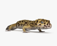 豹紋壁虎 3D模型