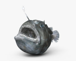 琵琶鱼 3D模型