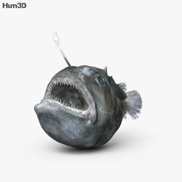 Морський чорт 3D модель