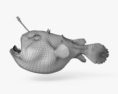 Anglerfish 3d model
