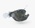 Anglerfish HD 3d model