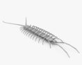 Lithobius 3d model