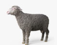 Sheep HD 3d model